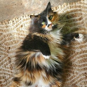 Meet your Posher, Kella